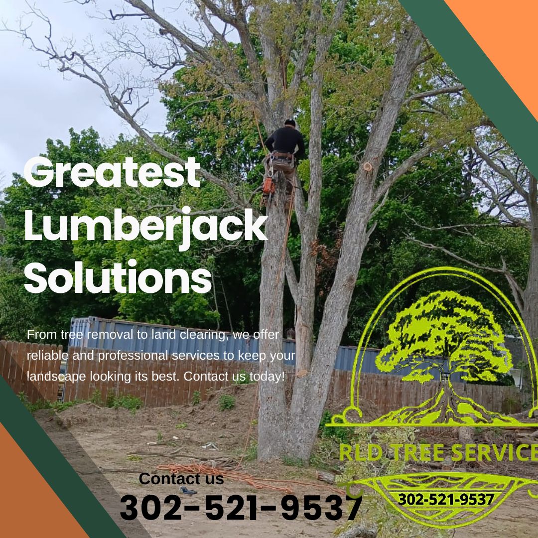 Tree Service Project 1