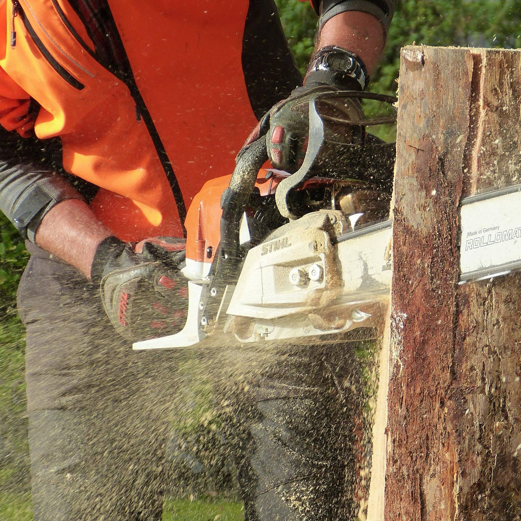 Tree Service Project 2