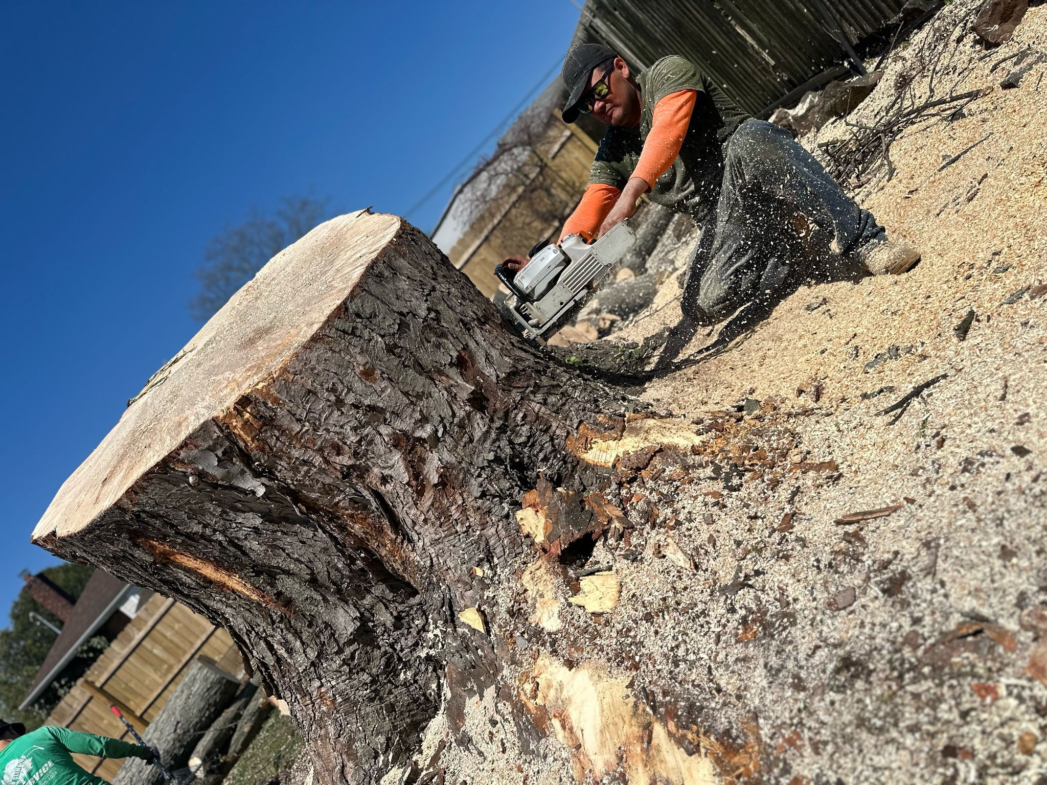 Tree Service Project 4